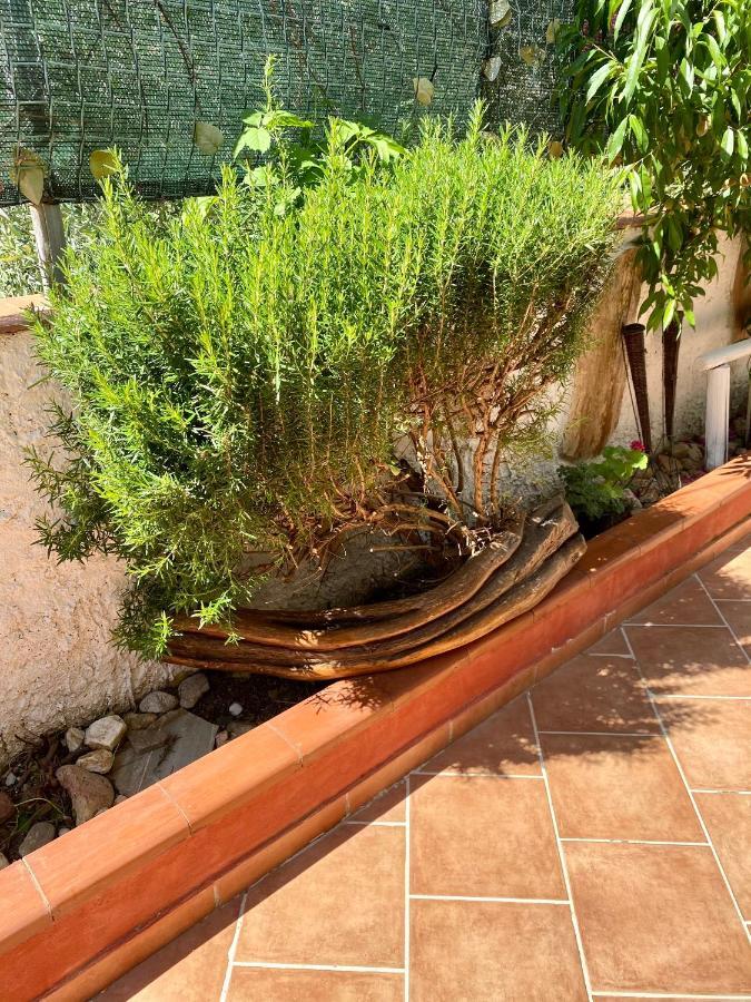 مبيت وإفطار L'Oasi Di شيا المظهر الخارجي الصورة